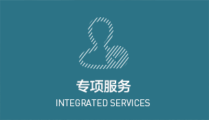 专项服务 